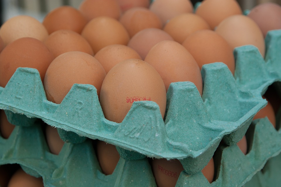 Distribución de huevos al por mayor Bogotá